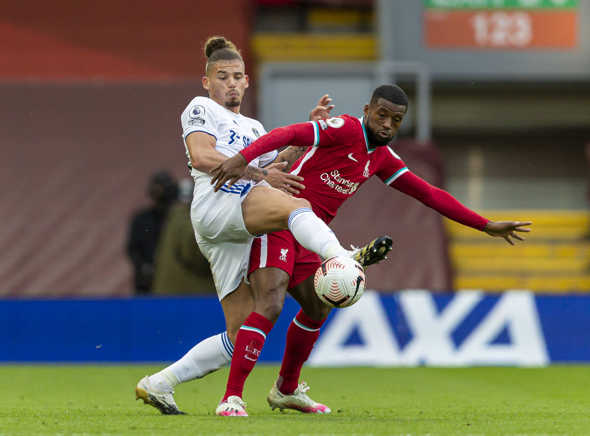 鲍威尔的贡 鲍威尔的贡